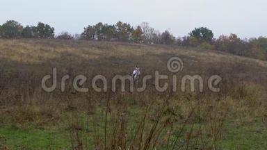 披着白色礼服的长发女士骑着奔腾的骏马穿过草地