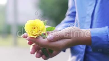 手心里的女孩捧着一朵黄色的玫瑰..