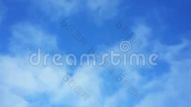 一只野鸟高高地飞在天空中。 蓝天上有云。