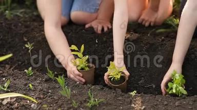 `世界`拯救的理念，孩子们用手在土壤上种植树苗