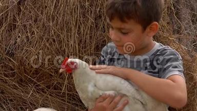 农夫黑发男孩正在抚摸一只鸡