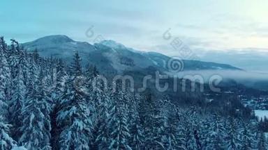 空中无人机的镜头雪覆盖的树木与惠斯勒山的背景。 4K24FPS。