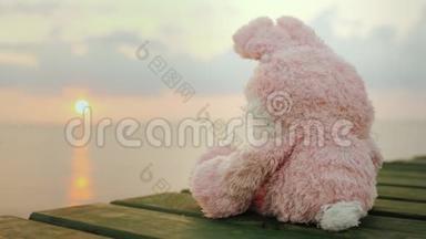 一只疲惫的野兔坐在木墩上，看着太阳从海上升起。