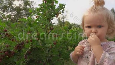 小可爱的女孩尝一尝灌木丛中的醋栗