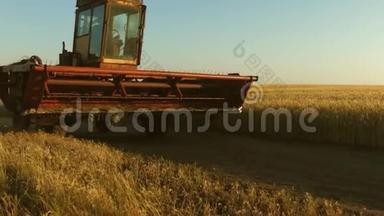 联合收割机继续收割小麦。 旧的领地。 麦田。 一个农民骑着一辆旧车