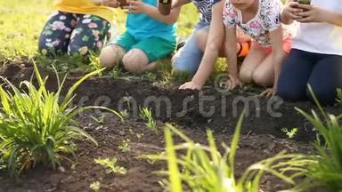 `世界`拯救的理念，孩子们用手在土壤上种<strong>植树苗</strong>