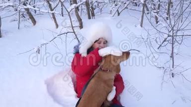 快乐的孩子冬天在公园里和狗玩圣诞假期。 户外带猎狗的女孩。 女<strong>主人</strong>