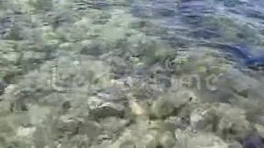 海水或海水与石化的珊瑚石
