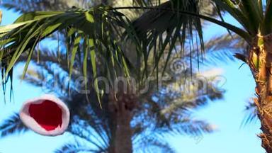 新年和圣诞节庆祝活动。 圣诞老人`帽子在棕榈树的背景上飞舞。 热带寒假