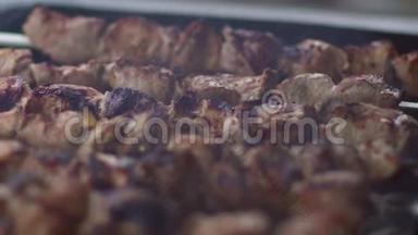 准备户外烧烤用的肉。 在木炭烤架上关闭肉烧烤。 用木炭烧烤。