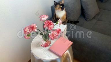 一束粉红色的康乃馨花<strong>放在</strong>花瓶里，礼物<strong>放在</strong>盒子里<strong>放在</strong>圆桌上，一只黑猫坐在灰色的沙发上，