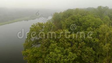 雾中亚马逊的神秘自然景观、河流、森林和丛林