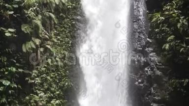 全景拍摄的热带雨林瀑布有绿色植物，水溅。