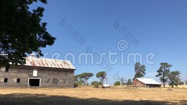 塔斯马尼亚农村的农村景象。