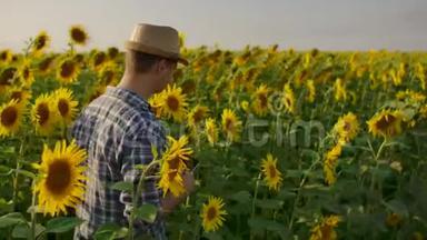 一个戴着帽子和衬衫的农民穿过<strong>田野</strong>，在<strong>田野</strong>里检查向日葵。 注意你的收获。 这就是