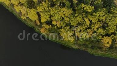 黑河弯道的顶部景色，河岸上有一片风景如画的秋绿色森林