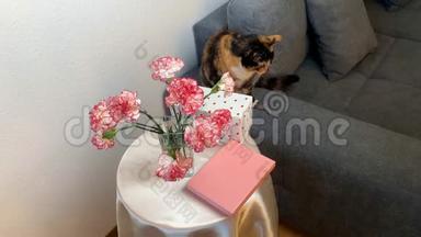 粉红色的康乃馨花束放在花瓶里，盒子里的礼物放在圆桌上，一只黑猫坐在灰色的沙发上，