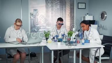 混合种族研究小组的科学家在现代明亮化学实验室工作