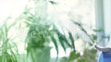 窗户和绿色植物前面的<strong>加湿器</strong>蒸汽