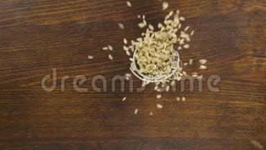 满桶珍珠大麦颗粒掉落.. 慢动作。 水桶落在木地板上。 上景。 一桶水被击中