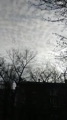 灰色的早晨。积云。早上在城里。电话里的视频。清晨阳光下的灰色房屋。春天。未经许可的树木