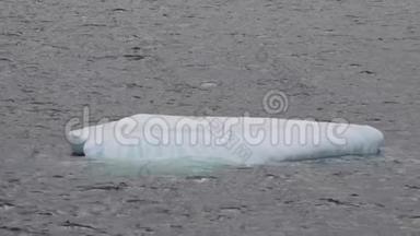 <strong>冰山</strong>漂浮在格陵兰岛的沿海岛屿斯库登根峡湾。