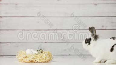 <strong>可爱</strong>的白色<strong>小兔子</strong>正坐在稻草窝附近，上面有鸡蛋，背景是木制的