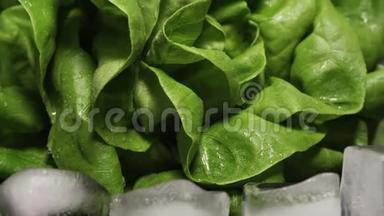 <strong>生菜叶</strong>。 新鲜的绿色沙拉在潮湿的黑暗表面。 慢动作