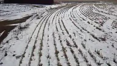 <strong>高清无人机</strong>拍摄的一片刚刚收获的雪地