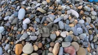 小螃蟹跑在鹅卵石海滩上看水。 女人的手指。 操作摄像机视图。