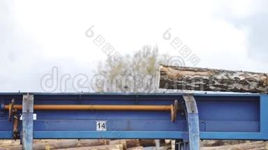 自动日志<strong>排序</strong>线。 车轮装载机和自动分拣原木直径在锯木厂。 木材工业。