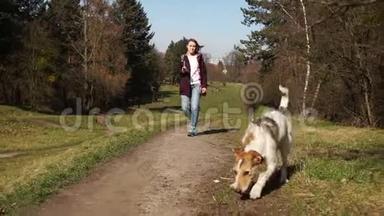 年轻的公狗沿着跑道跑在女主人面前。 一个女孩和她的狗在城市公园散步。 与你同行
