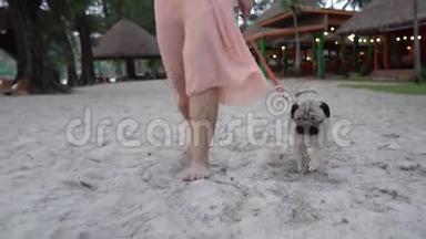 在沙滩上，年轻女子赤着<strong>脚</strong>走在沙滩上，<strong>脚踩</strong>狗