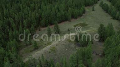 飞过森林，飞过树梢，草地，眺望群山.. 4K航空摄影