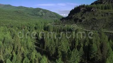 森林景观飞过的道路进入远方。 松林道4K航空摄影