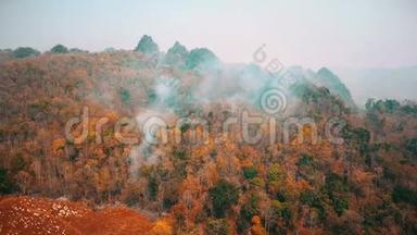 丛林大火的烟雾。 森林砍伐和气候危机。 热带雨林大火产生的有毒烟雾。 空中视频4k。