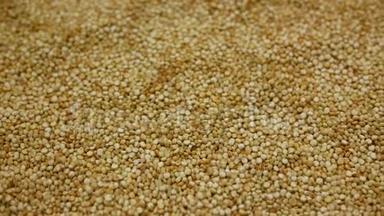 藜麦藜麦种子超级食品细节特写生物有机，水果植物不再适合纯素谷物