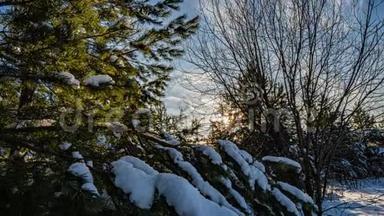 冬天在森林里下雪，圣诞节晚上下雪。 在圣诞公园里，下雪了。 美丽美丽