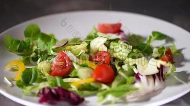 蔬菜沙拉配青菜，黄瓜，西红柿，胡椒粉的制作.. 混合掉在石盘上的绿色沙拉。 顶级