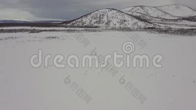从无人机摄像机上看到的。 冬天的风景有山和白色的雪田。 田野上有几只白天鹅