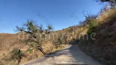 在马里布峡谷的一条狭窄的道路上驾驶一辆汽车。 火灾后可见烧毁的灌木和树木。 温暖的晴天