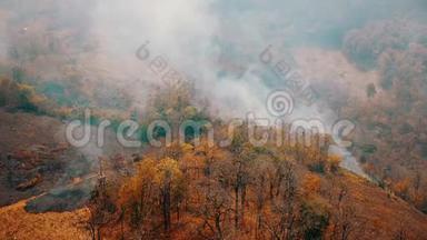 森林<strong>大火</strong>的烟雾。 森林砍伐和气候危机。 热带雨林<strong>大火</strong>产生的有毒烟雾。 空中视频4k。