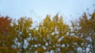 小雨滴落在树上的透明玻璃上