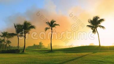 热带岛屿的<strong>高尔夫</strong>球场，美丽的日落与棕榈树的剪影<strong>视频</strong>