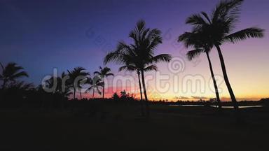 热带岛屿的高尔夫球场，美丽的日落与棕榈树的剪影视频