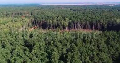 森林采伐、木材收割机、特种设备森林采伐