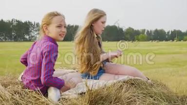 两个十几岁的女孩坐在农田里的<strong>干草</strong>堆<strong>上</strong>。 快乐的女孩在<strong>干草</strong>堆<strong>上</strong>聊天