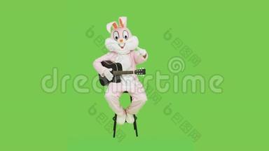 音乐家穿着复活节兔子<strong>真人</strong>大小的套装，在彩色钥匙上弹吉他，绿色屏幕。 有趣的吉他手