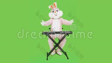 有趣的钢琴老师钢琴家演奏音乐，庆祝复活节，玩得开心。 成人复活节兔子真人大小的套装，玩电动