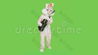 吉他手在成人复活节兔子套装服装上弹吉他独奏音乐的色度键，绿色屏幕。 疯狂疯狂